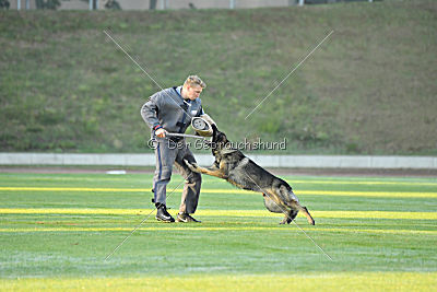 Iso von der Mooreiche