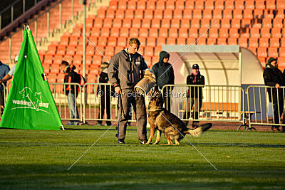 Iso von der Mooreiche