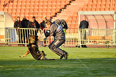 Iso von der Mooreiche