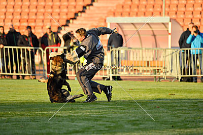 Iso von der Mooreiche