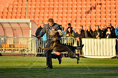 Iso von der Mooreiche