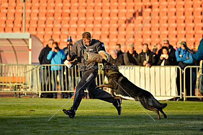 Iso von der Mooreiche