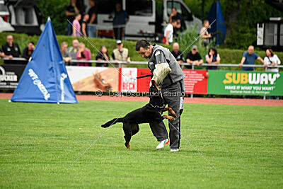 Iva von den Wichtelhäusern