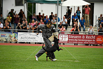 Iva von den Wichtelhäusern