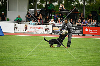 Iva von den Wichtelhäusern