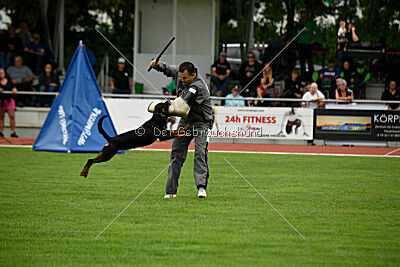 Iva von den Wichtelhäusern