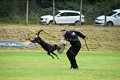 Iva von den Wichtelhäusern