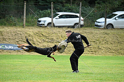 Iva von den Wichtelhäusern