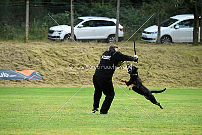 Iva von den Wichtelhäusern