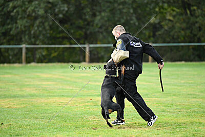 Iva von den Wichtelhäusern