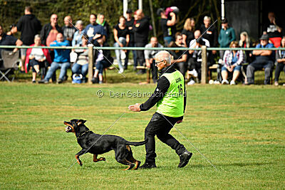 Iva von den Wichtelhäusern