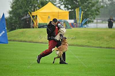 Ivar Ragnar Primus Proeliator