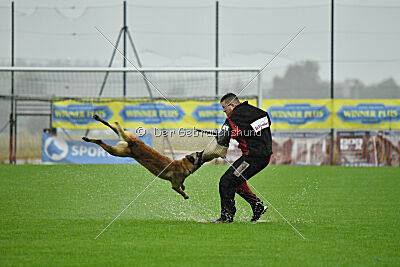 Ivar Ragnar Primus Proeliator