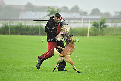 Ivar Ragnar Primus Proeliator