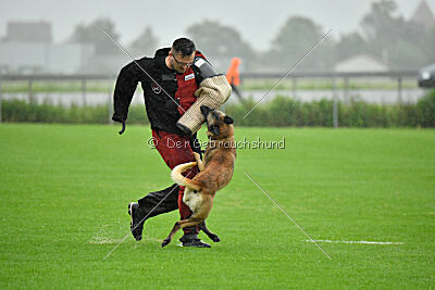 Ivar Ragnar Primus Proeliator