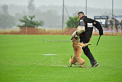 Ivar Ragnar Primus Proeliator