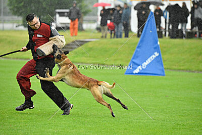 Ivar Ragnar Primus Proeliator