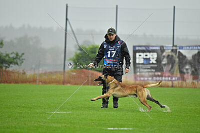 Ivar Ragnar Primus Proeliator