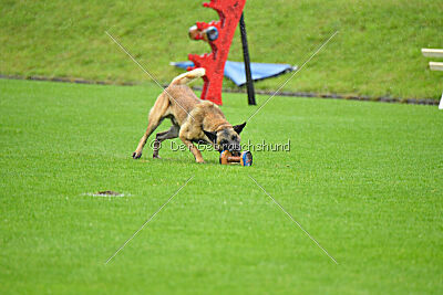 Ivar Ragnar Primus Proeliator