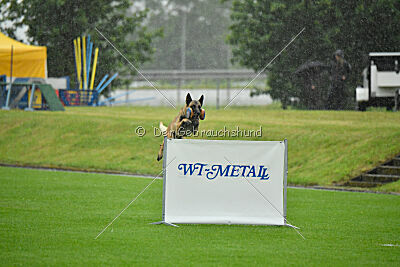 Ivar Ragnar Primus Proeliator