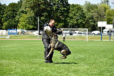 Ix von der Mooreiche