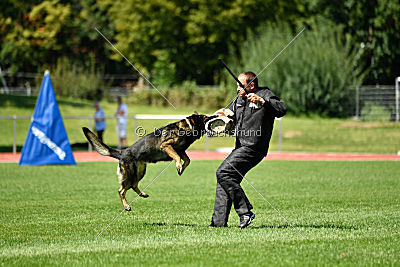 Ix von der Mooreiche