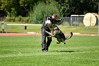 Ix von der Mooreiche