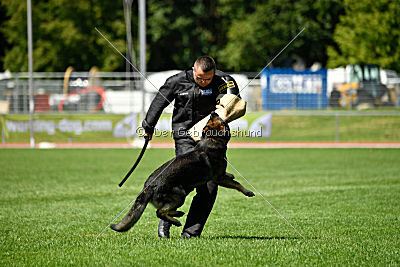 Ix von der Mooreiche