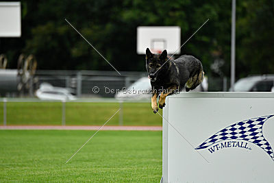 Ix von der Mooreiche