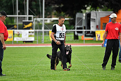 Ix von der Mooreiche