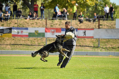 Ix von der Mooreiche