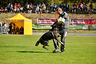 Ix von der Mooreiche