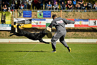 Ixtrem vom Eisernen Kreuz