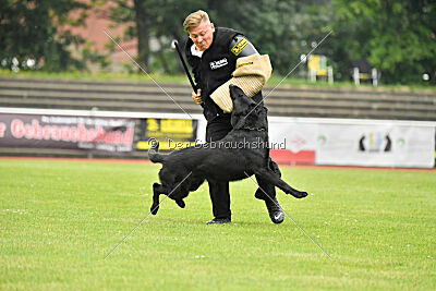 Ixxo vom blauen Stern