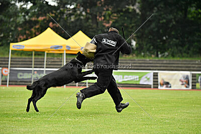 Ixxo vom blauen Stern