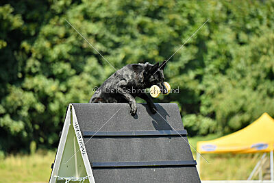 Ixxo vom blauen Stern