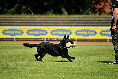 Ixxo vom blauen Stern
