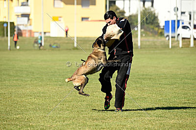 Izarh vom Kistenstein