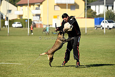 Izarh vom Kistenstein