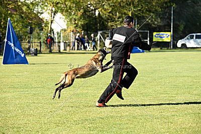 Izarh vom Kistenstein