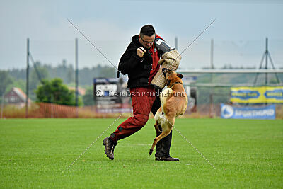 JJ Primus Proeliator