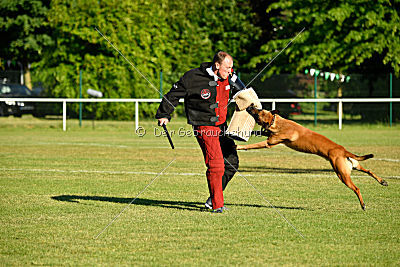 J'Lux vom Brunsbeker Land