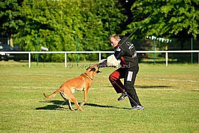 J'Lux vom Brunsbeker Land