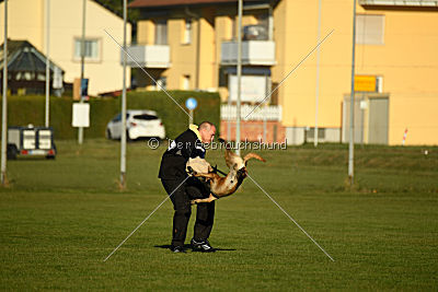 J'Lux vom Brunsbeker Land