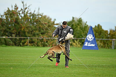Jackazz Jazz de L'Etoile de L'Est