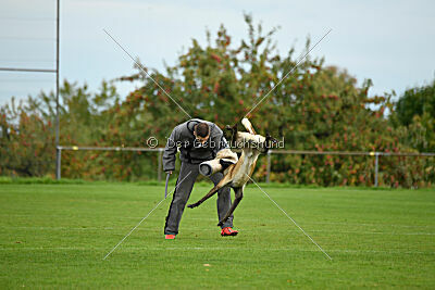 Jackazz Jazz de L'Etoile de L'Est