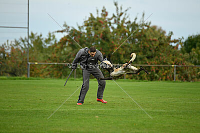 Jackazz Jazz de L'Etoile de L'Est