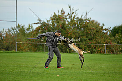 Jackazz Jazz de L'Etoile de L'Est
