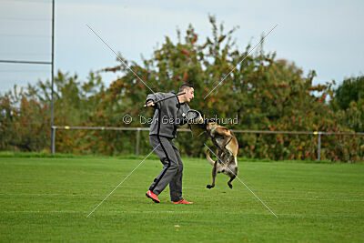 Jackazz Jazz de L'Etoile de L'Est