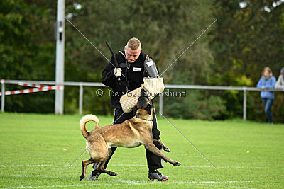 Jackazz Jazz de L'Etoile de L'Est